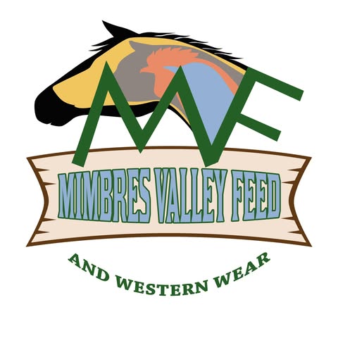 SILVER SPONSOR